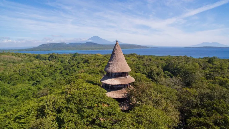 Rainforest and savanna trail inside West Bali National Park
