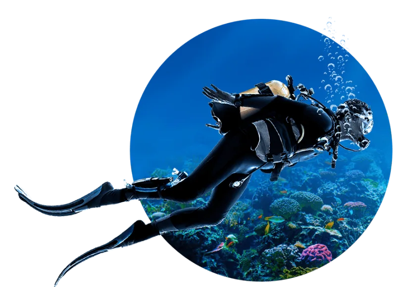 Scuba diver over the coral reef at Menjangan Island