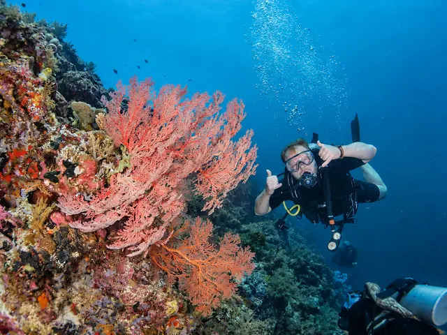 Smiling diver giving a thumbs-up beside a red sea fan