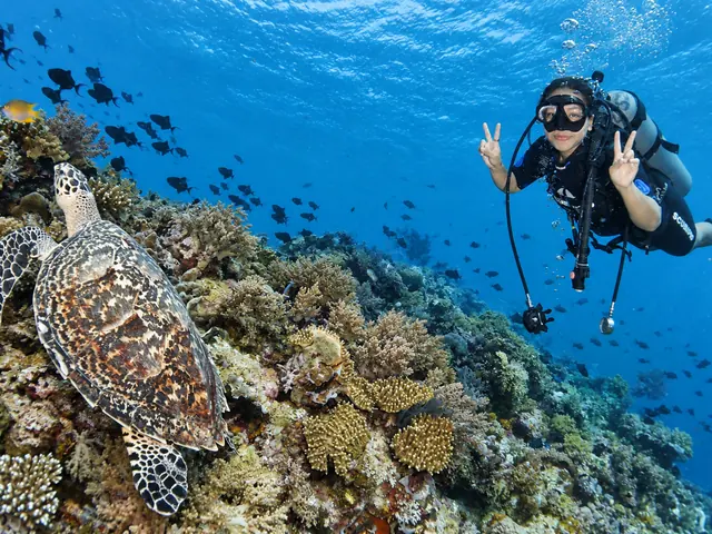 Diver making a peace sign next to a sea turtle on the reef