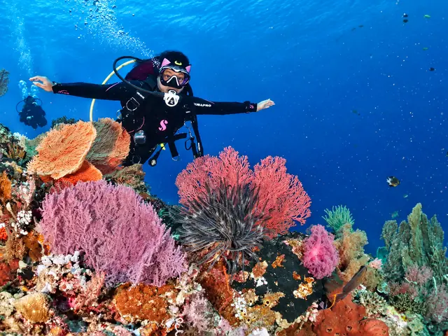 Diver with arms outstretched above pink and purple soft corals