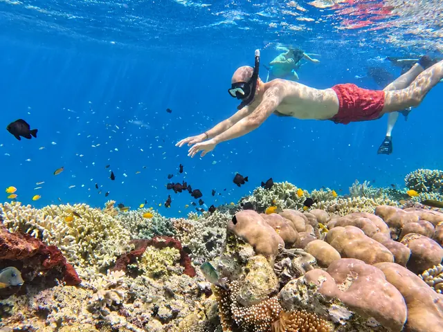 Snorkeller in red shorts gliding over the coral reef at Menjangan