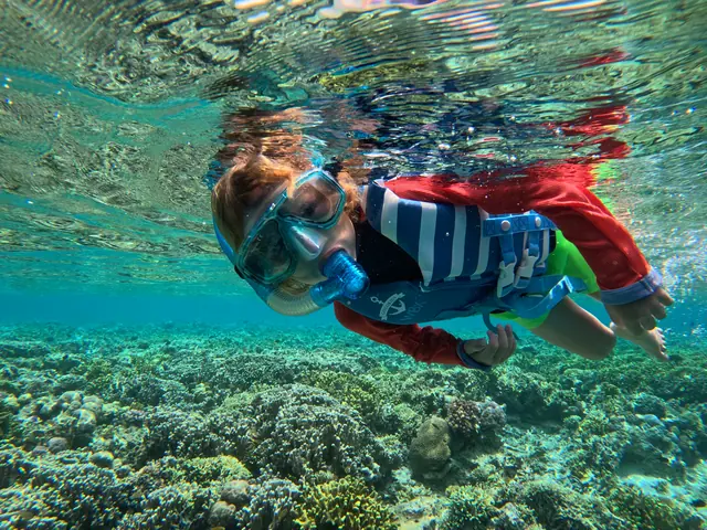 Child snorkelling in a wetsuit over the shallow reef