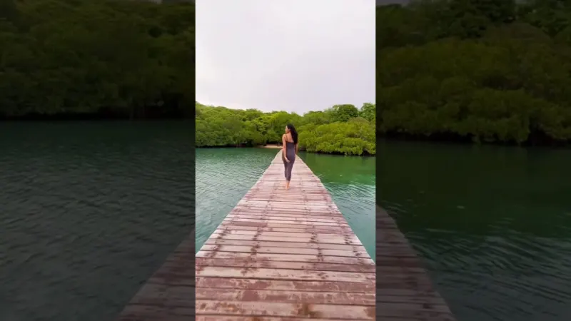 Marine life filmed on a Menjangan Island trip